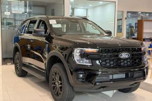 Ngoại Thất Ford Everest Active màu Đen 2026